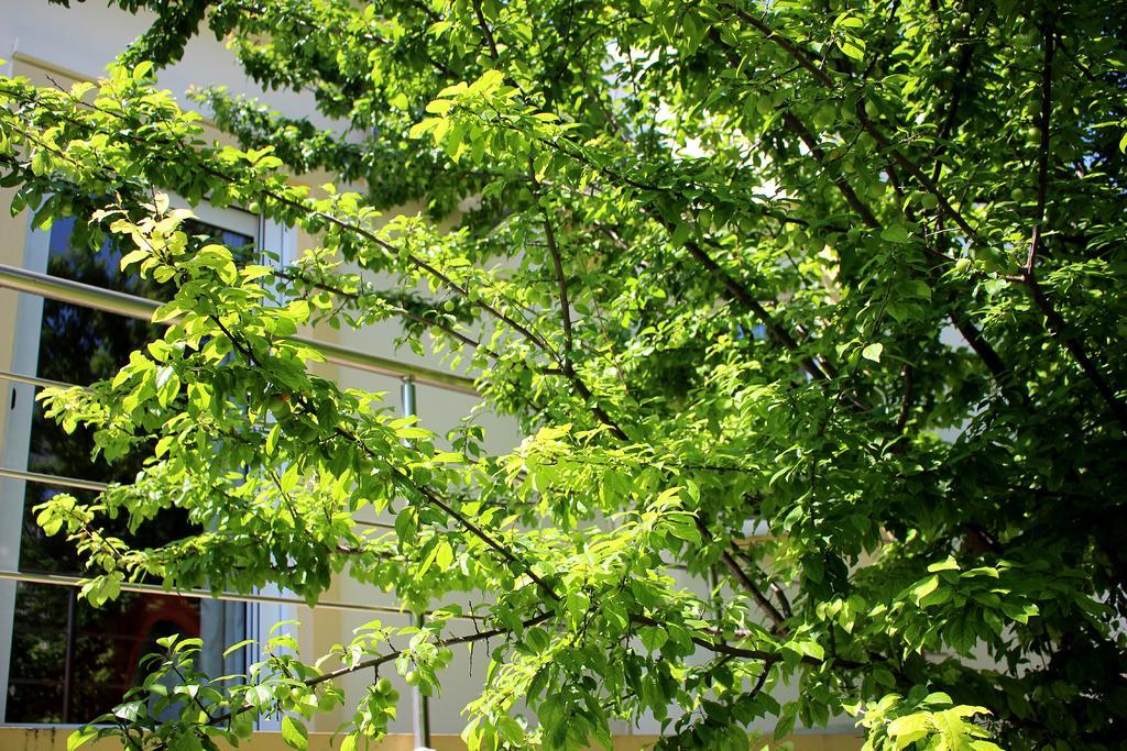 Sofia Filoxenia House Villa คาลีเวส ภายนอก รูปภาพ